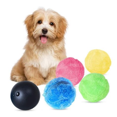 The Science Behind the Magic: How the Roller Ball Toy Stimulates Dogs